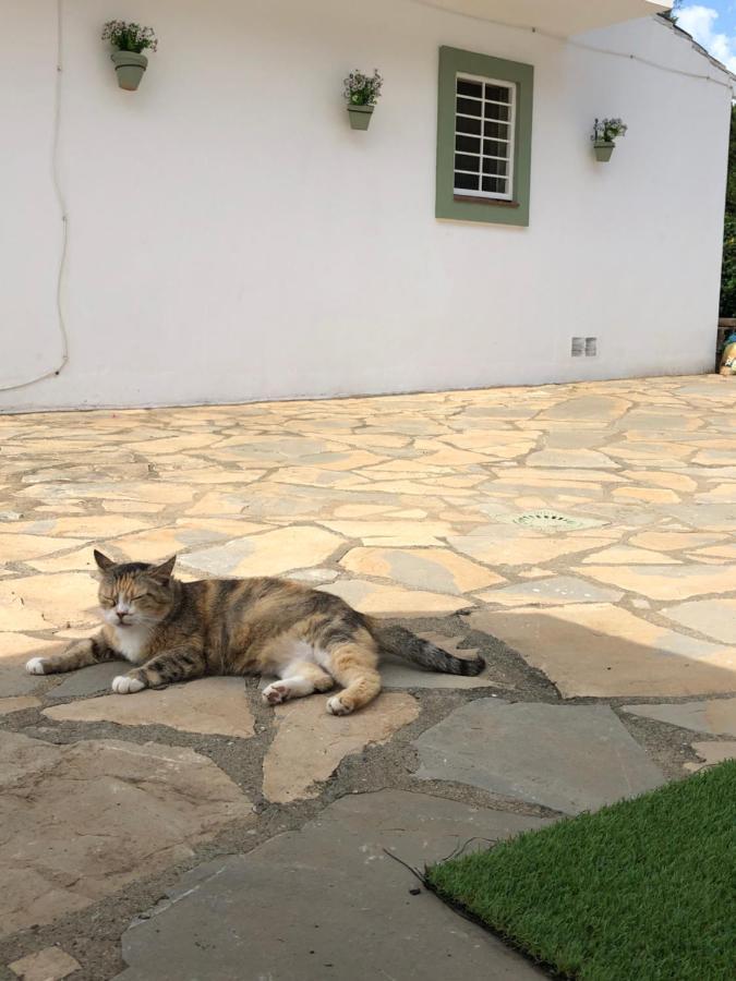 Vakantiehuis Mikaela House Marbella Malaga Estepona